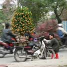 street in Hanoi